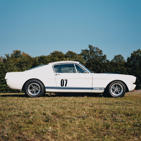 'The Thoroughbred' Premium Crewneck – Flying Mustang Edition